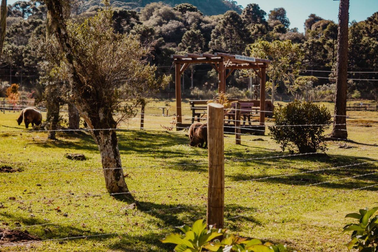 Pousada Lago Da Colina Urubici Esterno foto