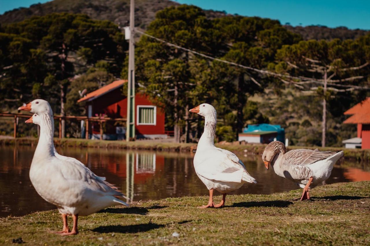 Pousada Lago Da Colina Urubici Esterno foto